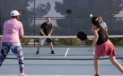 Portable Pickleball Net